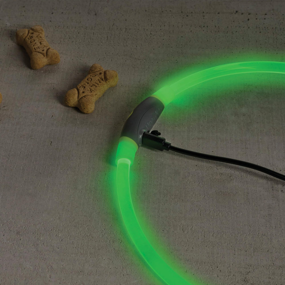NiteHowl is the ideal safety accessory for night dog-walking