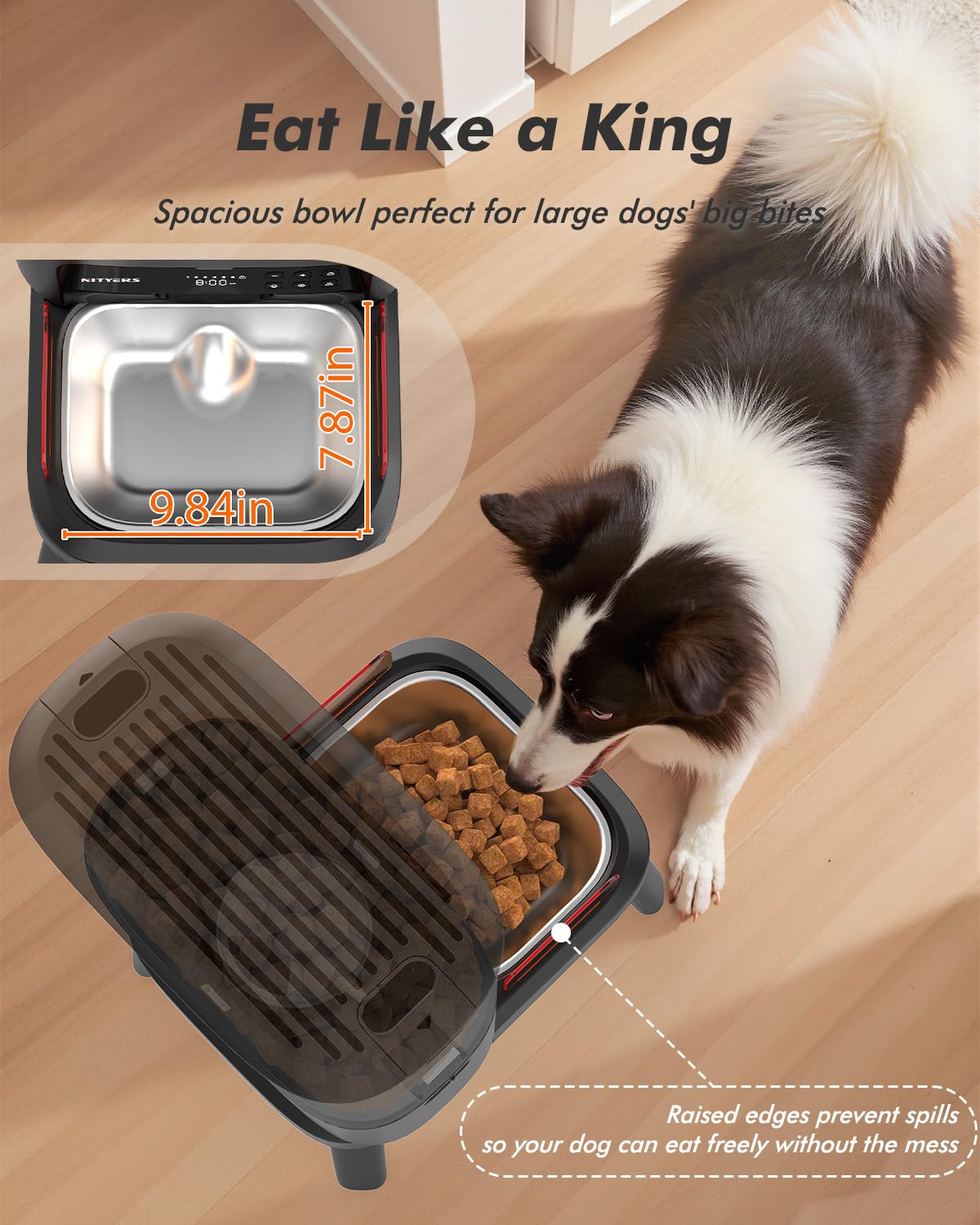 Freshness lock keeps kibble dry and fresh between meals