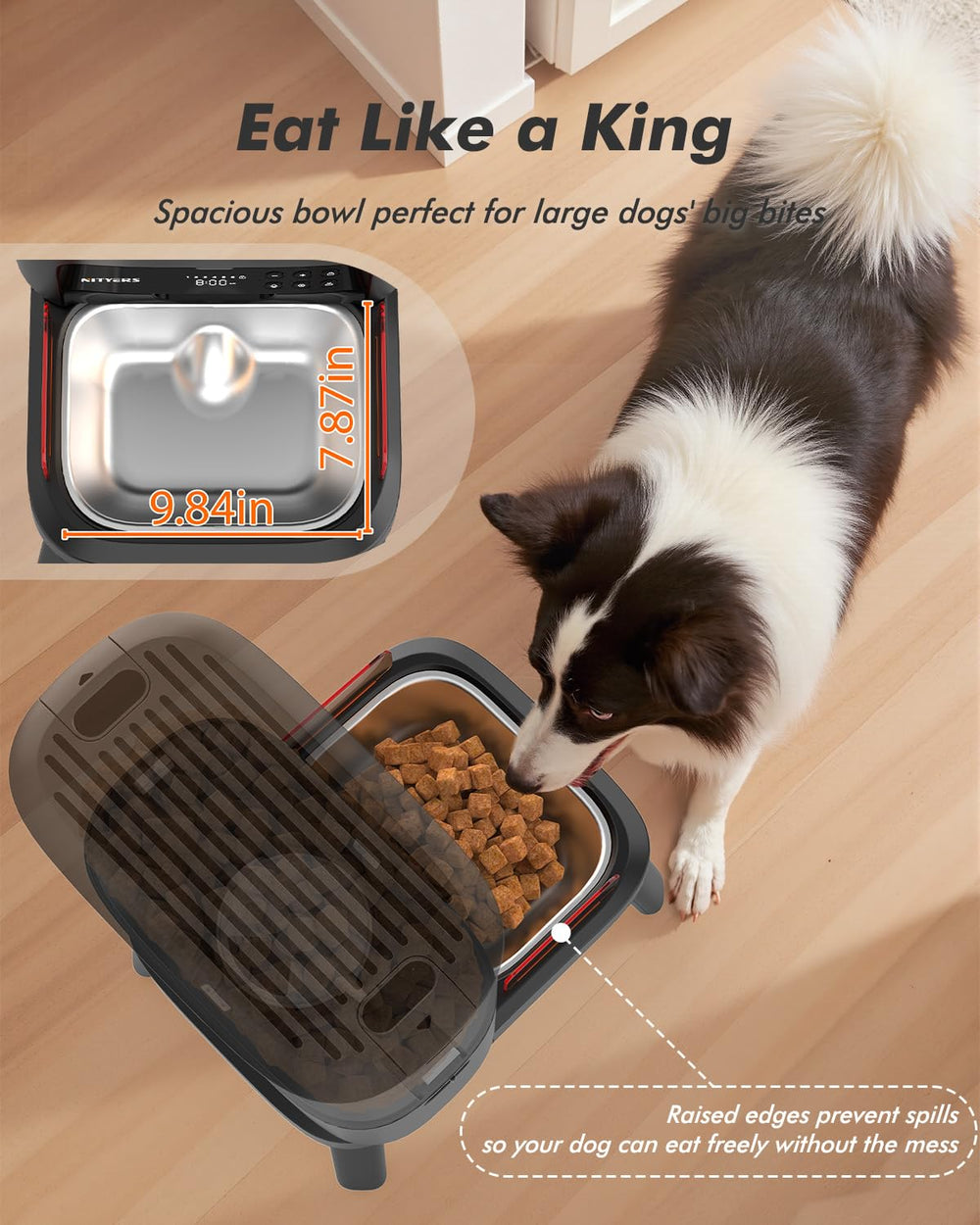 Freshness lock keeps kibble dry and fresh between meals