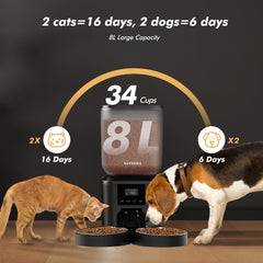 Nityers cat feeder with two trays ensures fair meals for two cats