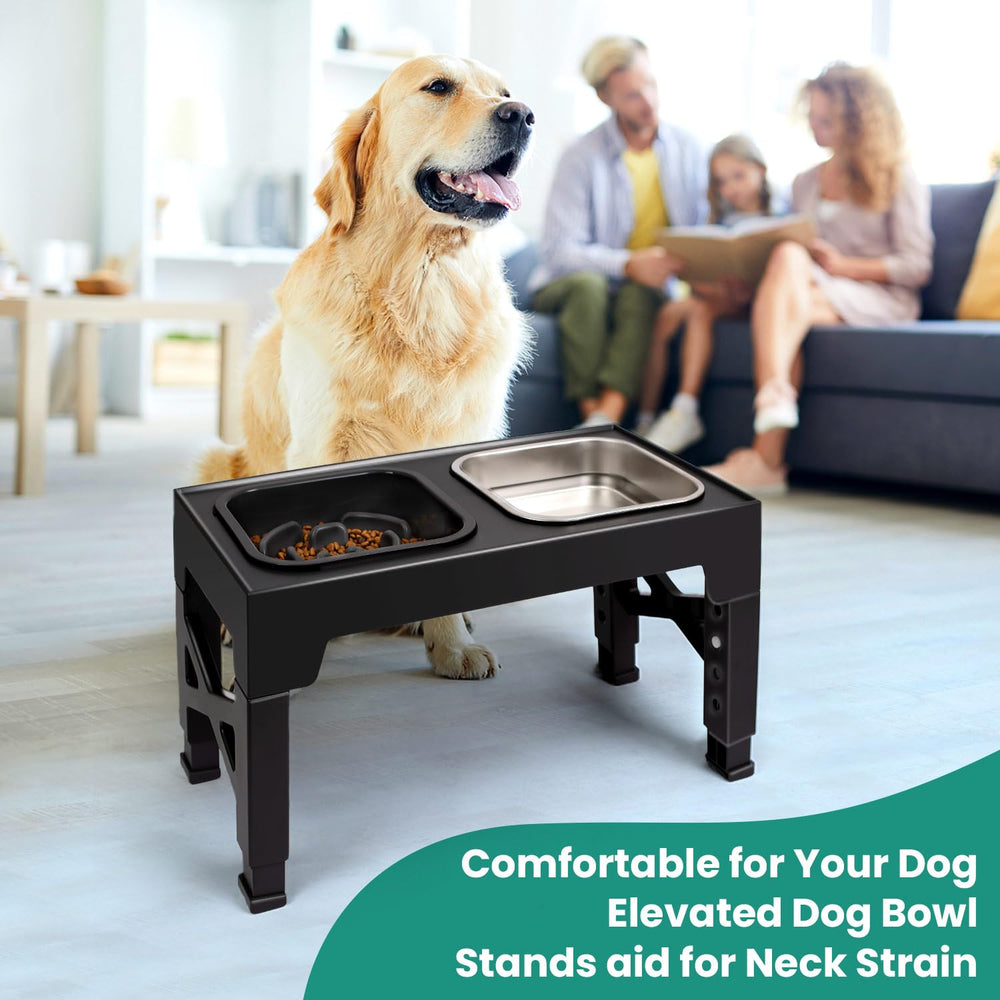 Niubya clean feeding area with elevated design minimizes dust and hair around bowls.