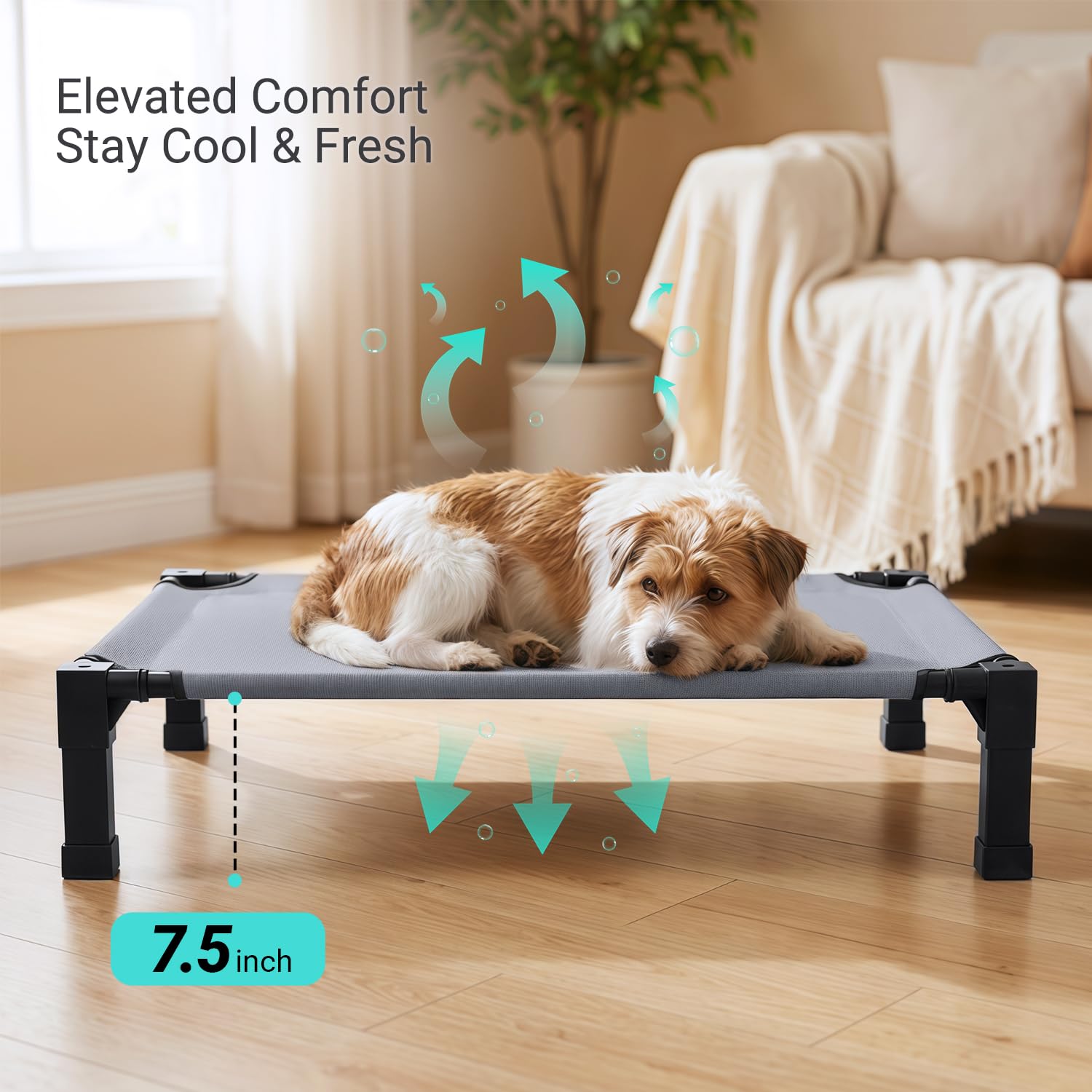 Niubya elevated outdoor dog bed durable steel frame withstands outdoor wear.