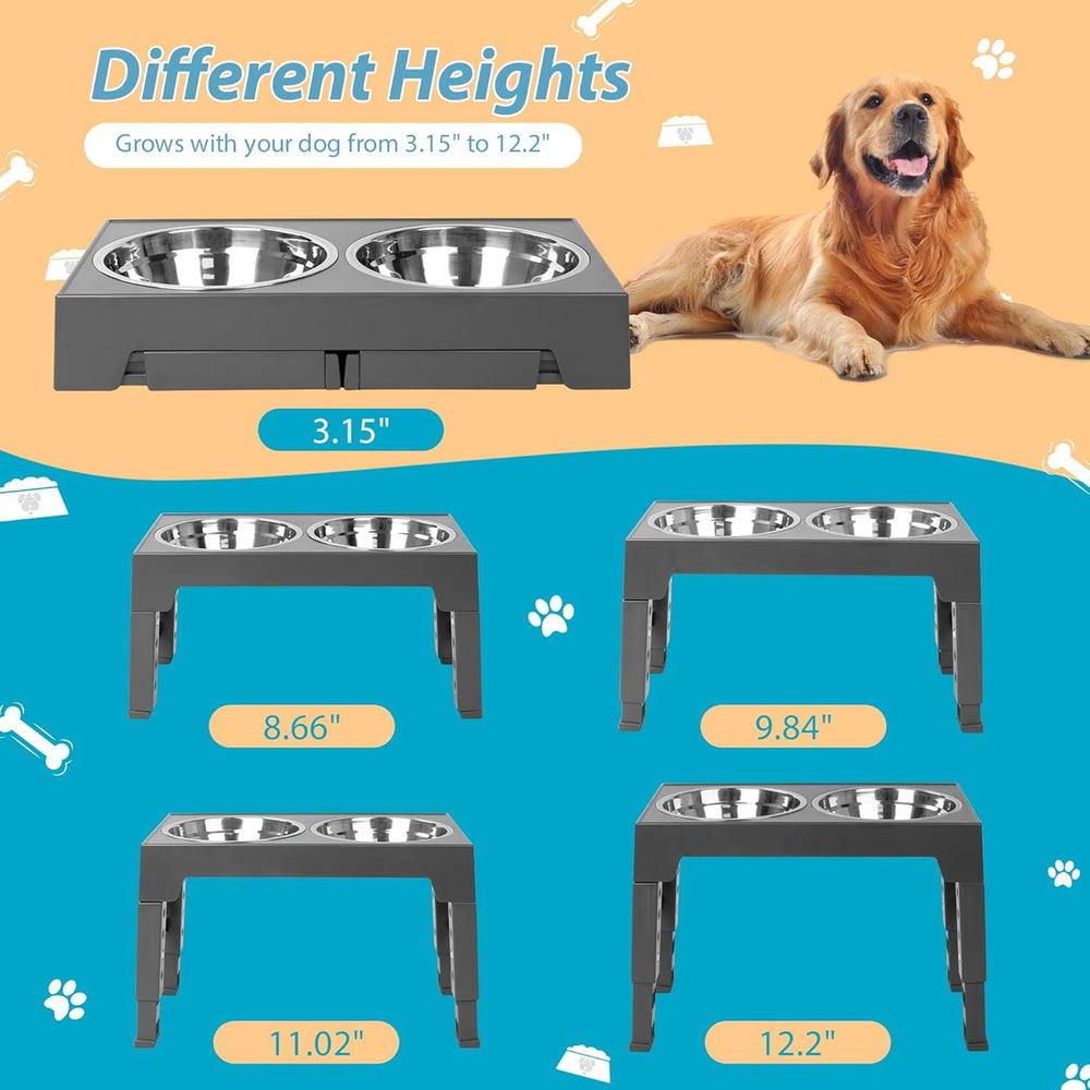Niubya five-height adjustable stand fits dogs of all sizes for easy meals.