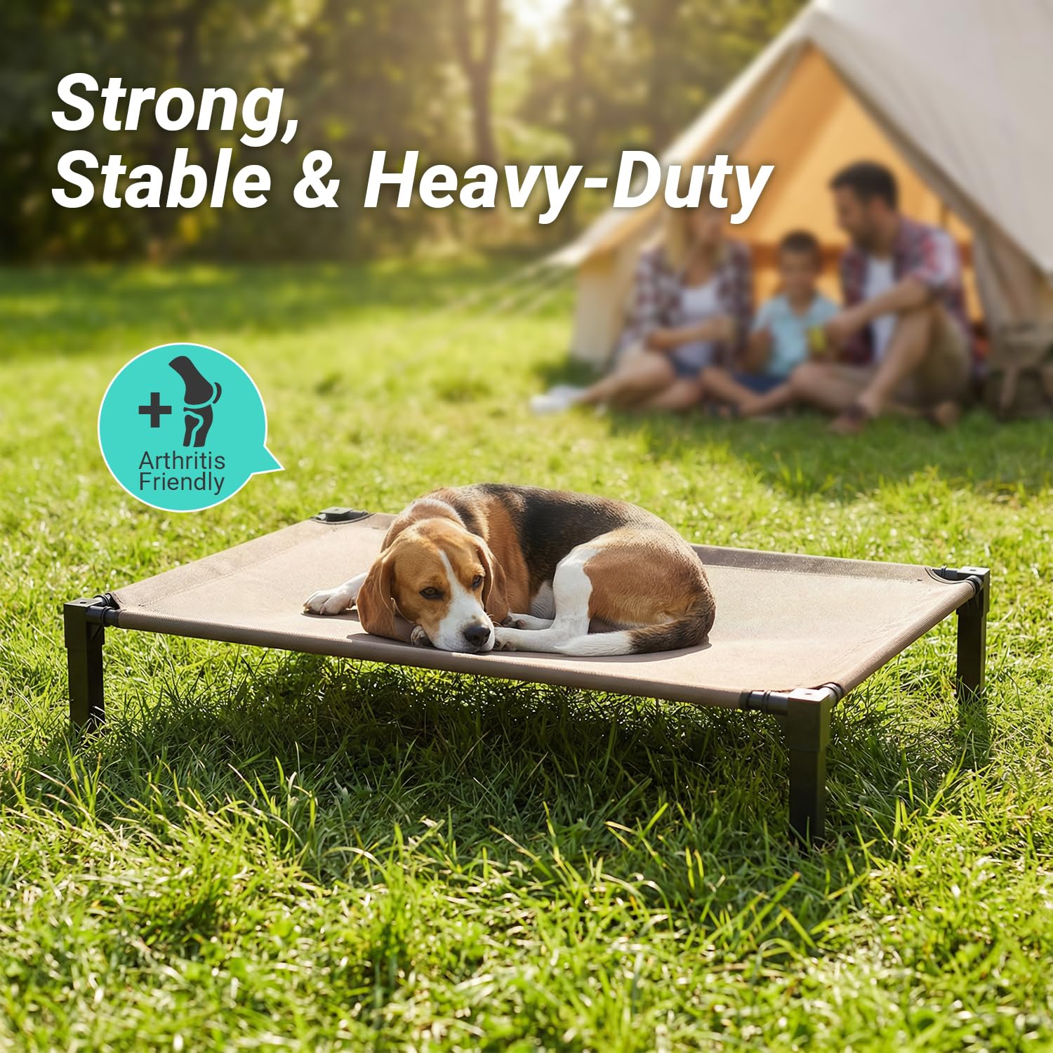 Niubya portable design enables simple transport for trips.