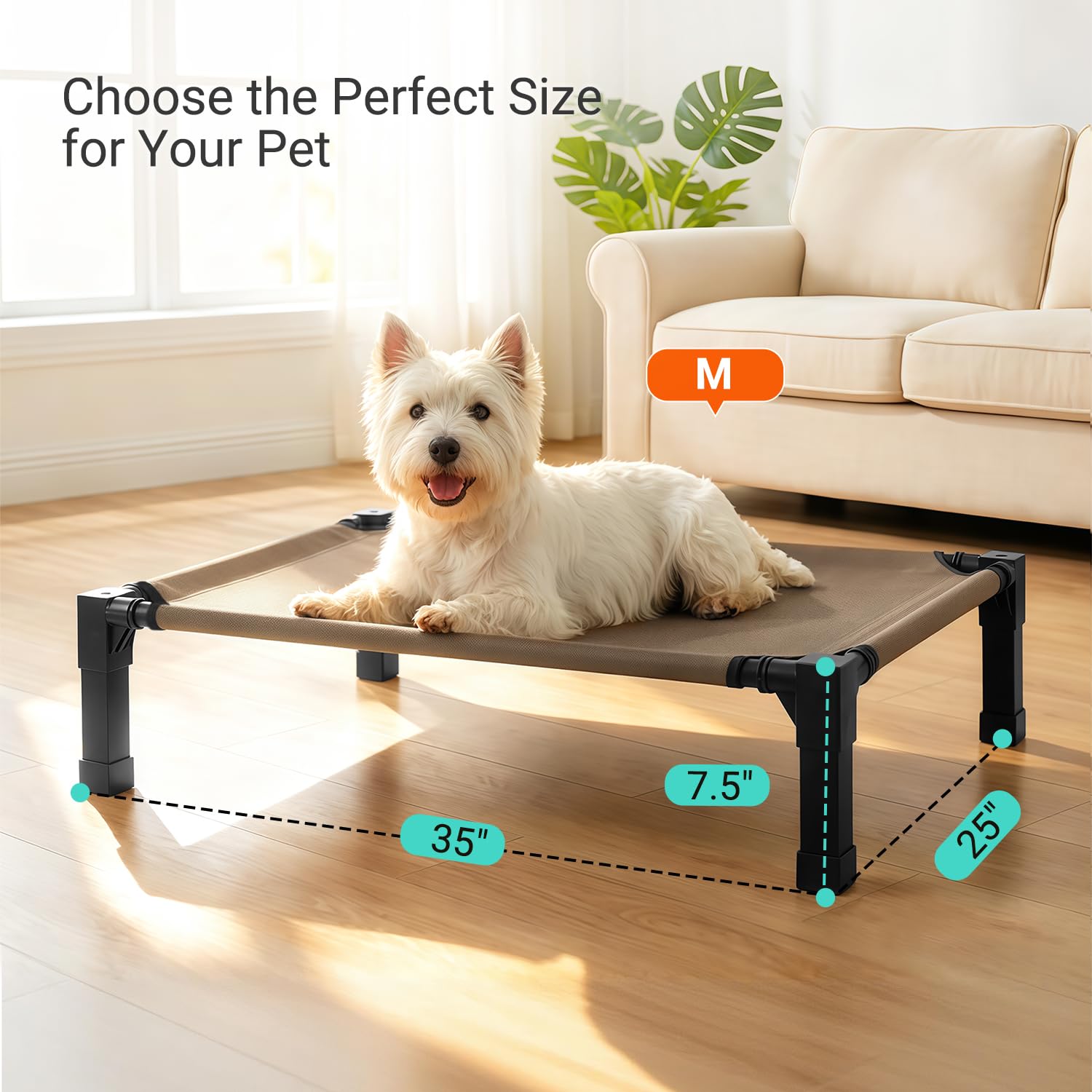 Niubya steel-framed cot highlights durability and weight support for active dogs.