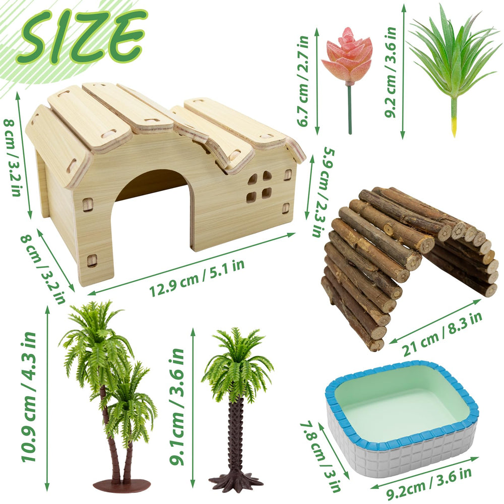 Niuohoy Hermit Crab Kit bathing pool for safe water access.
