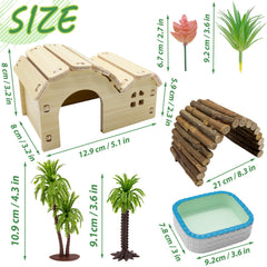 Niuohoy Hermit Crab Kit bathing pool for safe water access.