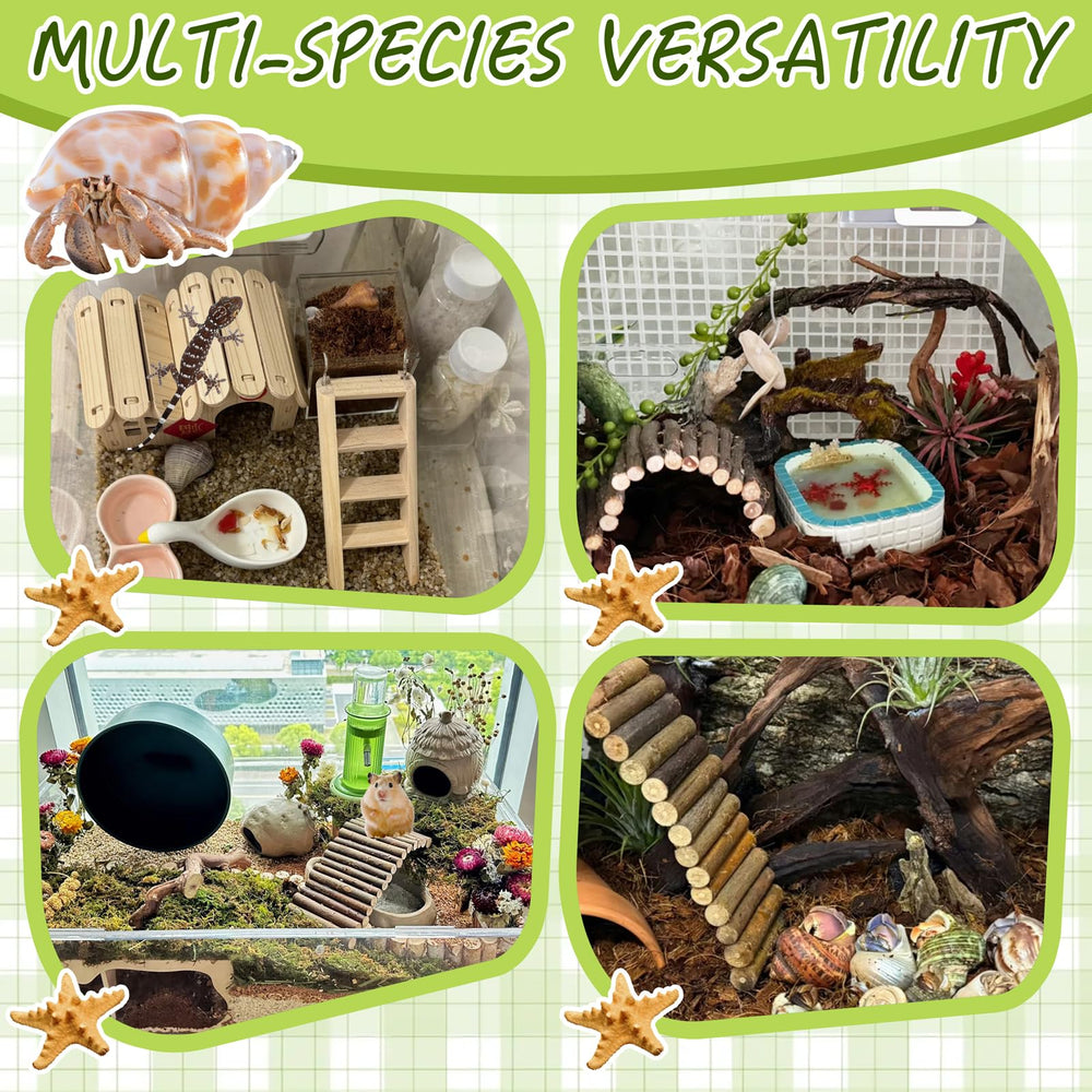 Niuohoy tropical habitat-inspired kit promotes foraging and exploration.