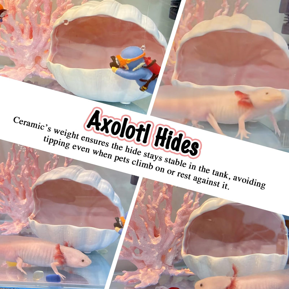 Niuohoy eye-catching pink hide blends with plants and gravel.
