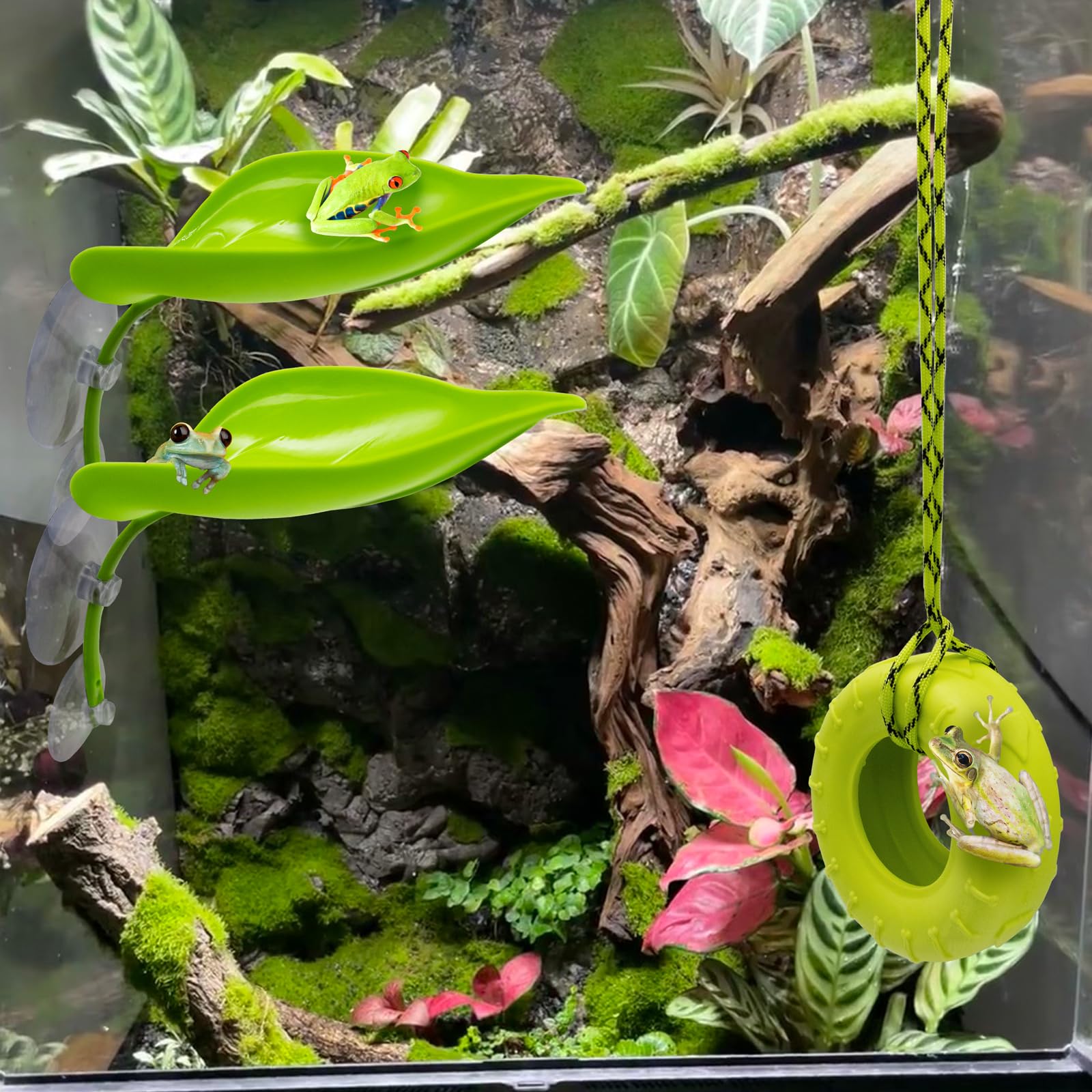 Niuohoy canopy detail adds tropical ambience to terrarium design.