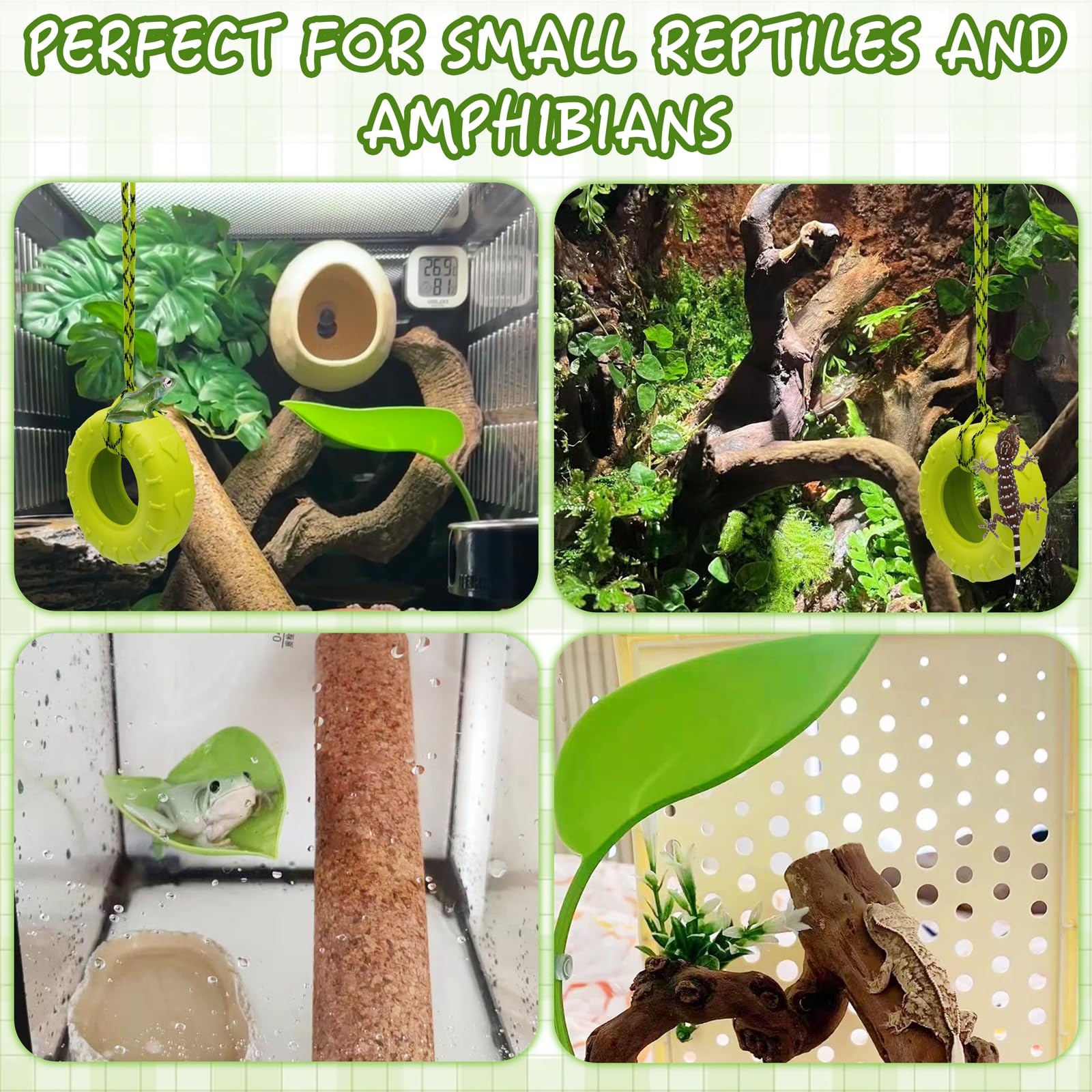 Niuohoy glass surface attachment provides sturdy terrarium mounting.