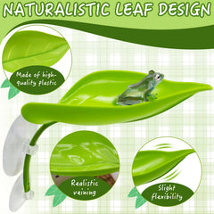 Niuohoy large suction cups secure leaves to glass for stable setup.