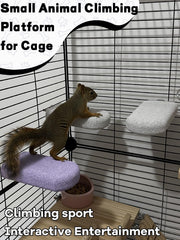 Niwaes 4-pack lava ledges offer safe platforms for rodents to explore.