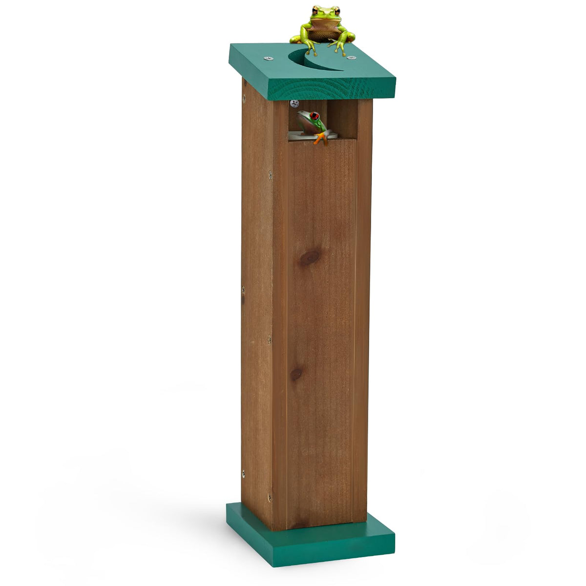 Niyanghome tree frog house outdoor habitat for multiple species