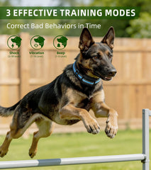NJJAETKSP Remote with dual channels for training two dogs.