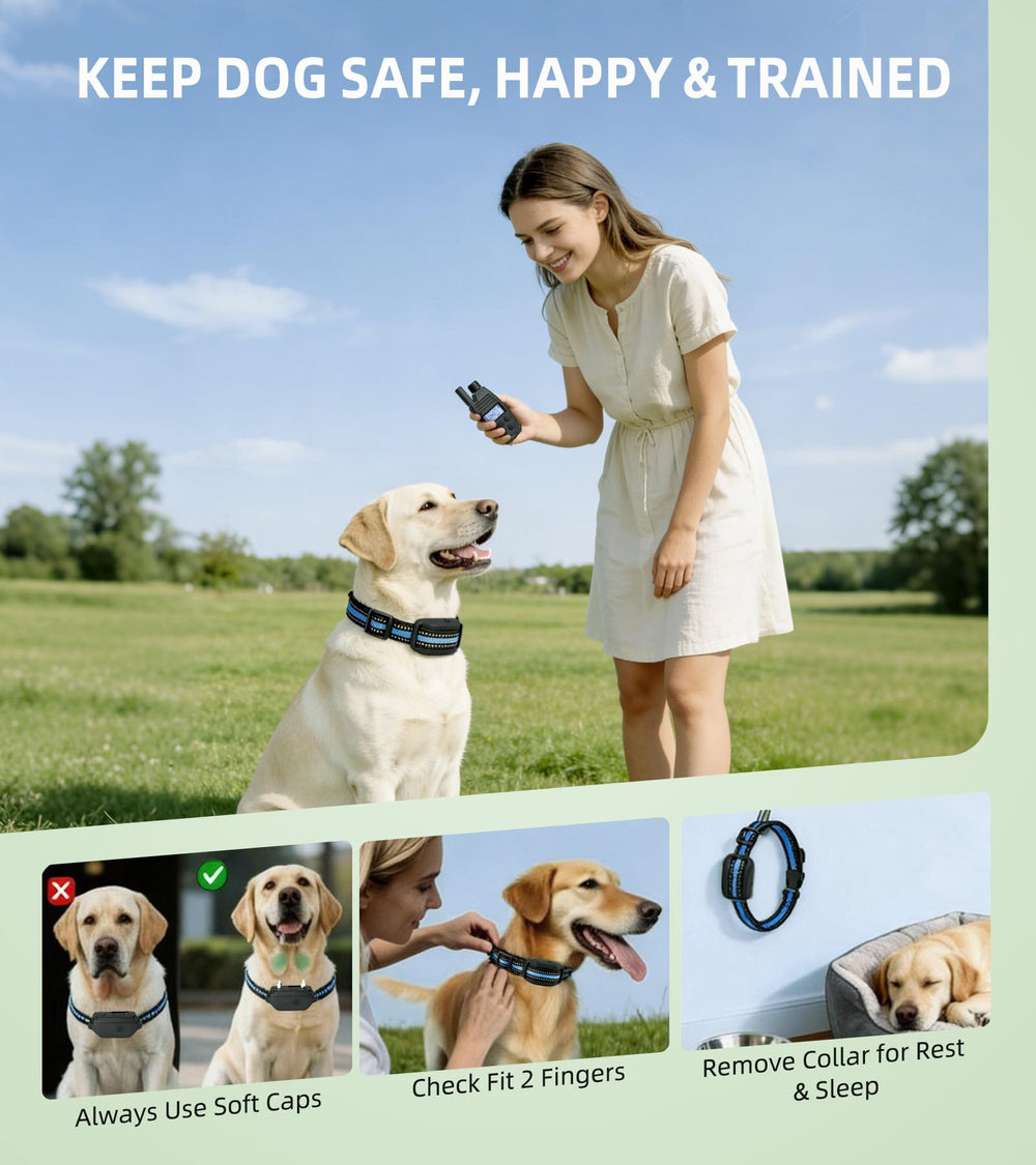 NJJAETKSP Safety tips for responsible collar use.