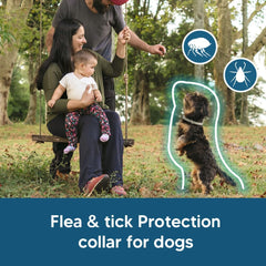 NJKPUYT flea collar works indoors and outdoors in various weather