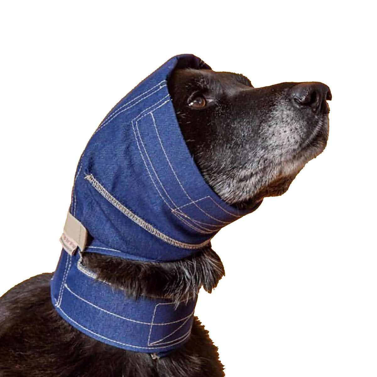 No Flap denim ear wrap medium front view showing secure fit for active dogs.