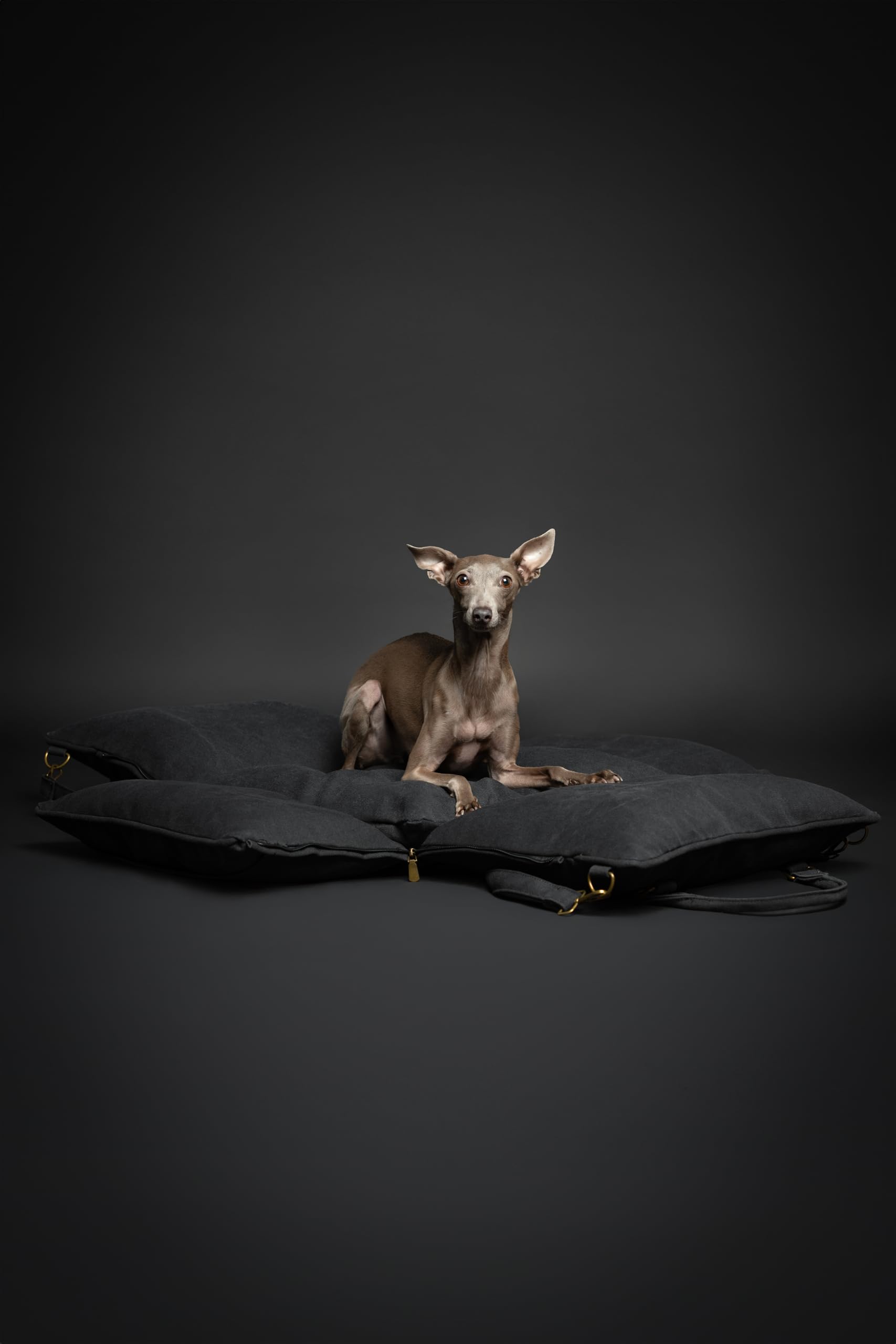 NOAH & PAW removable cushions for easy cleaning