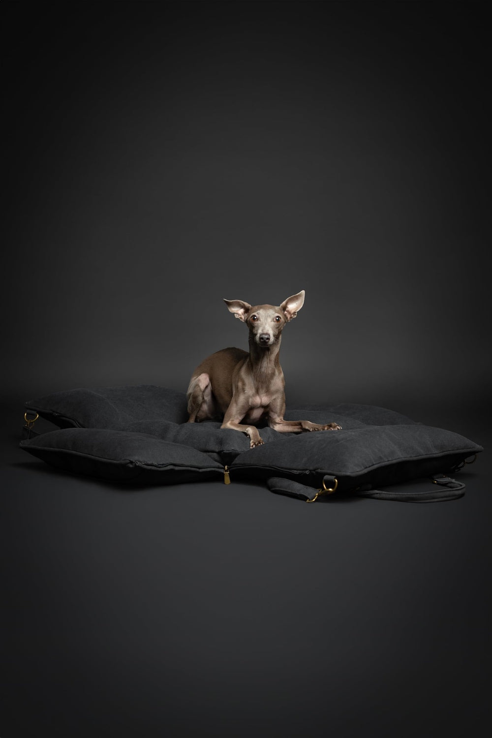 NOAH & PAW removable cushions for easy cleaning