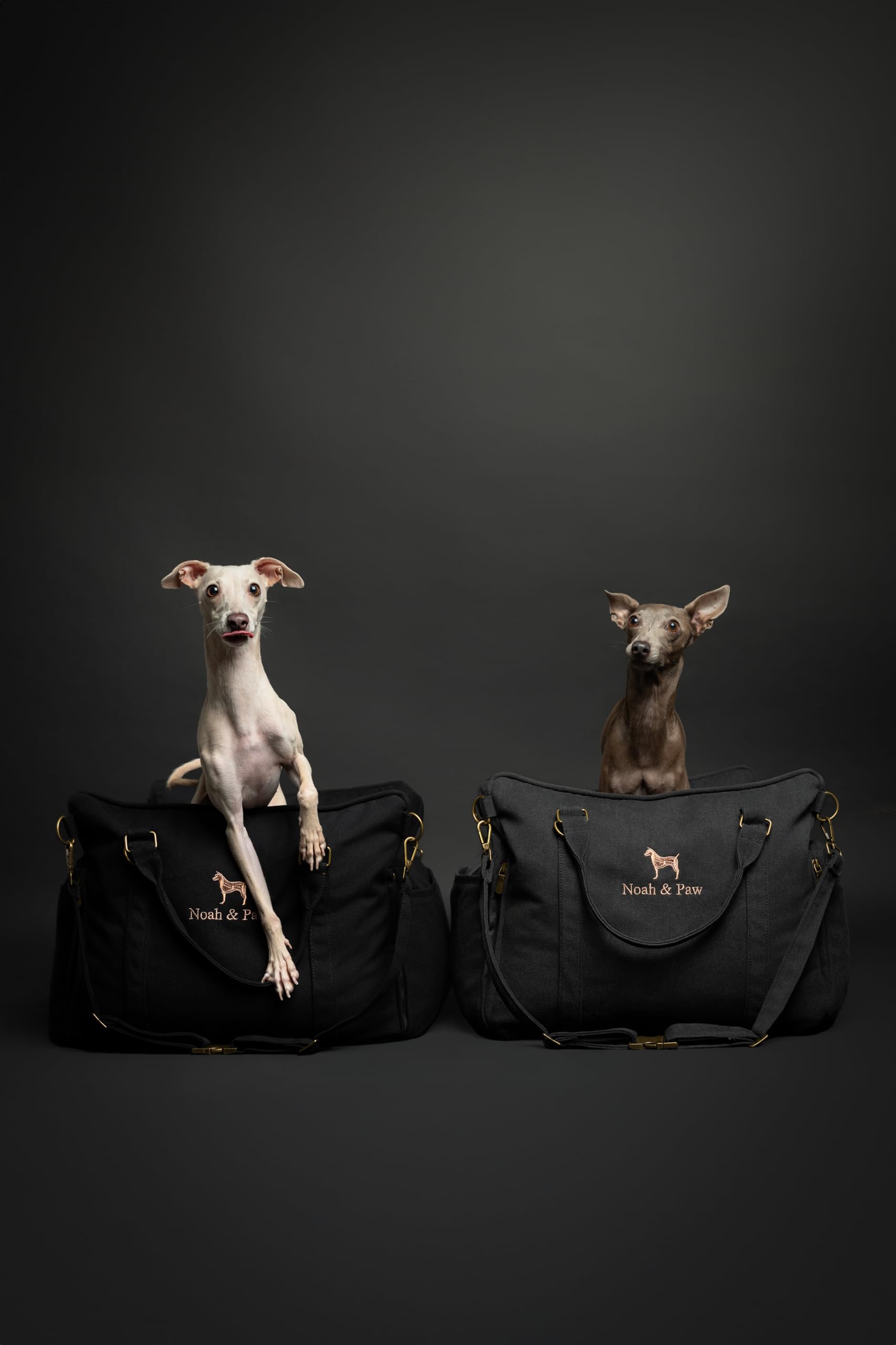 NOAH & PAW sturdy handles for easy transport