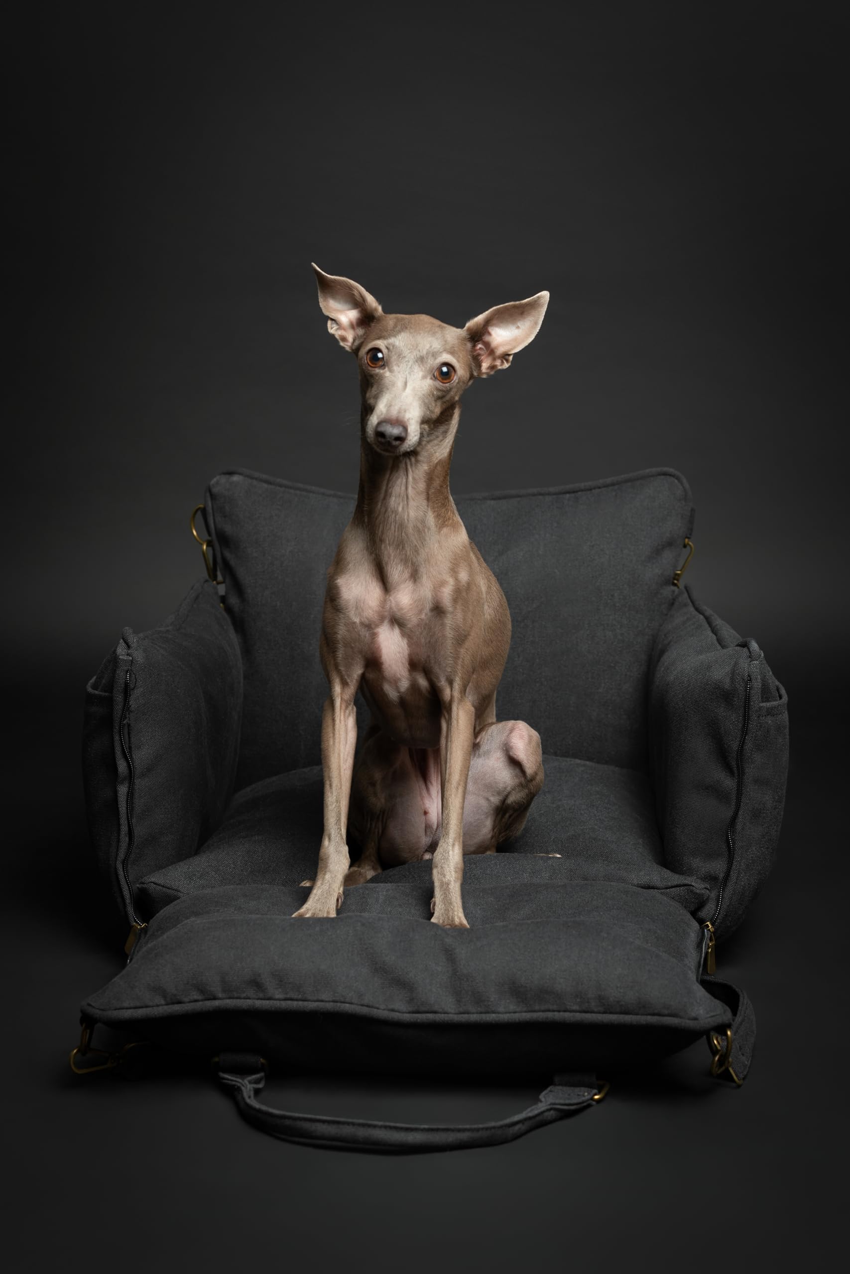 NOAH & PAW waterproof exterior of the dog car seat