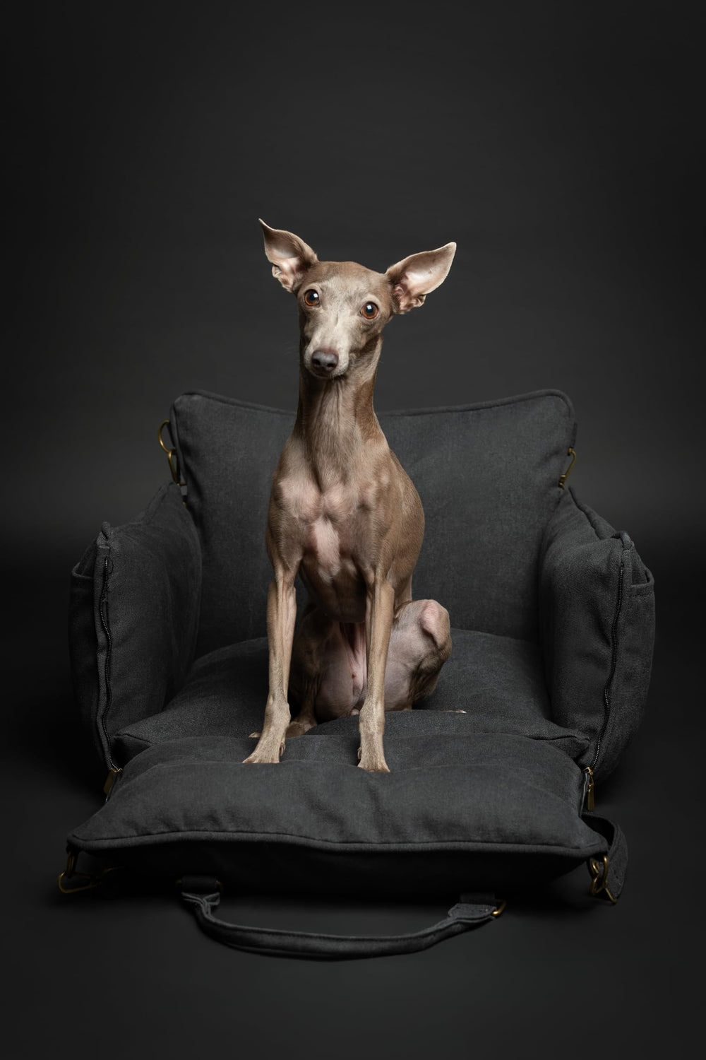 NOAH & PAW waterproof exterior of the dog car seat