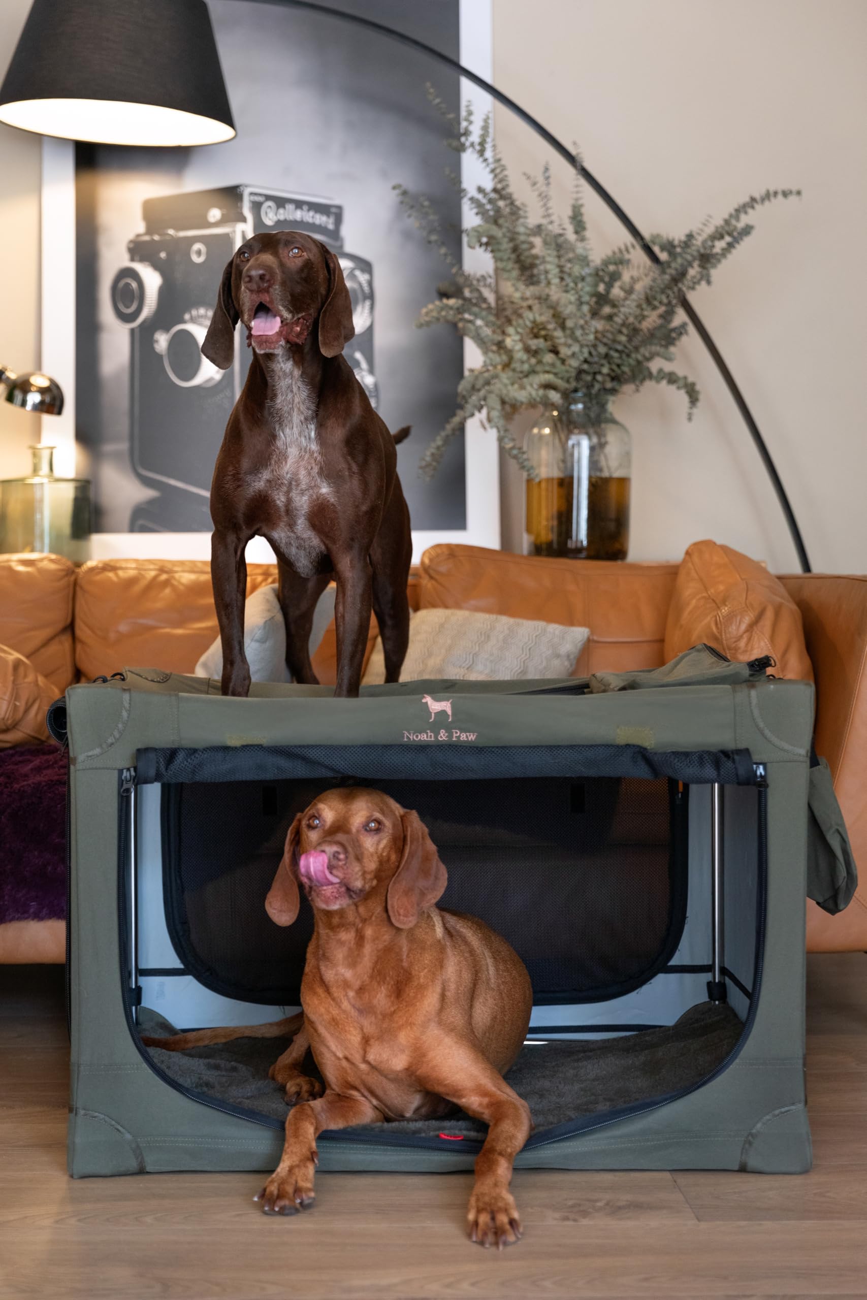 Noah & Paw crate folding mechanism enables fast, compact storage after use.