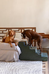NOAH & PAW dog stairs 20-wide close-up foam focus highlights durable comfort