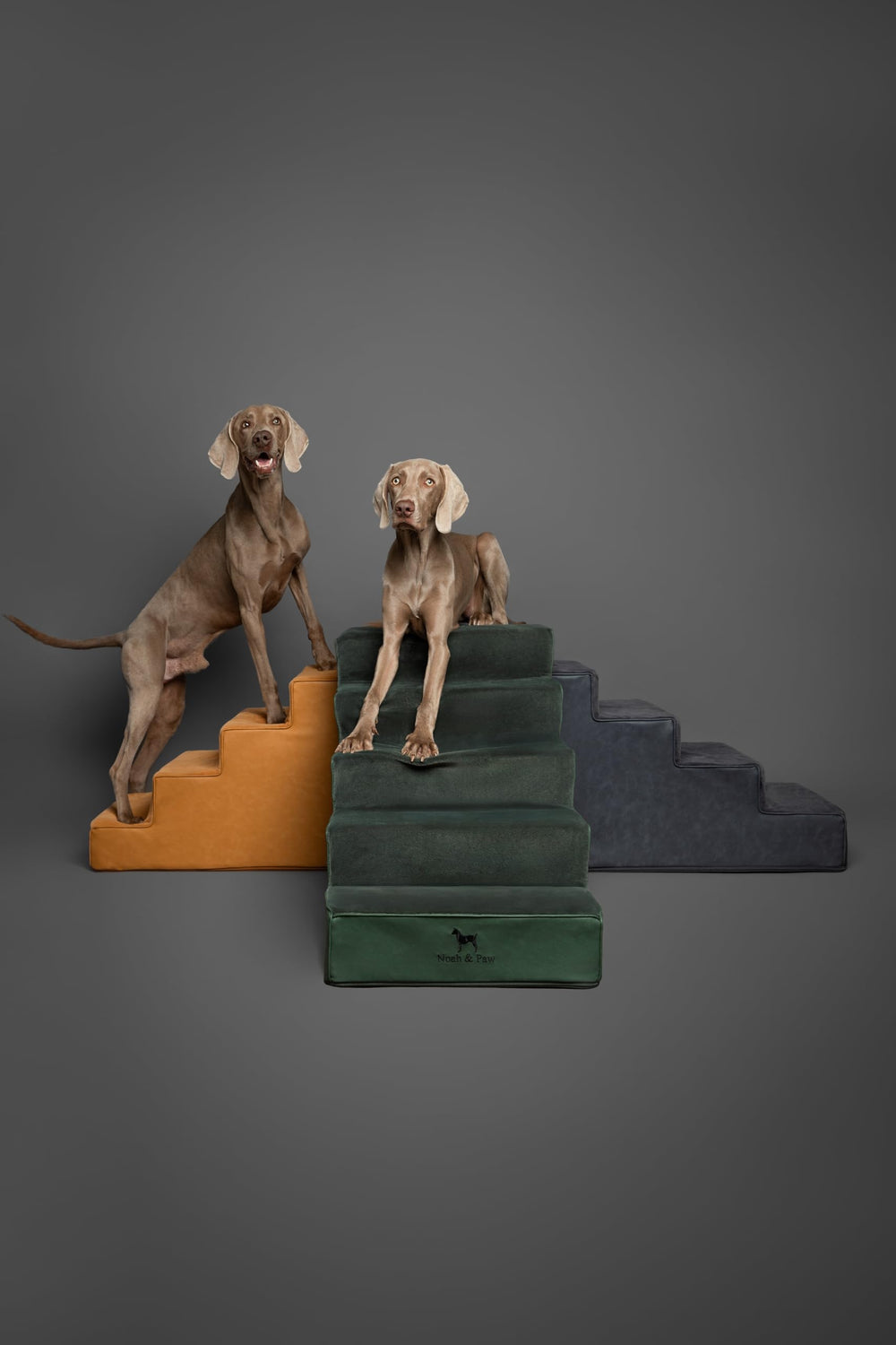 NOAH & PAW dog stairs 20-wide dimension guide helps choosing height