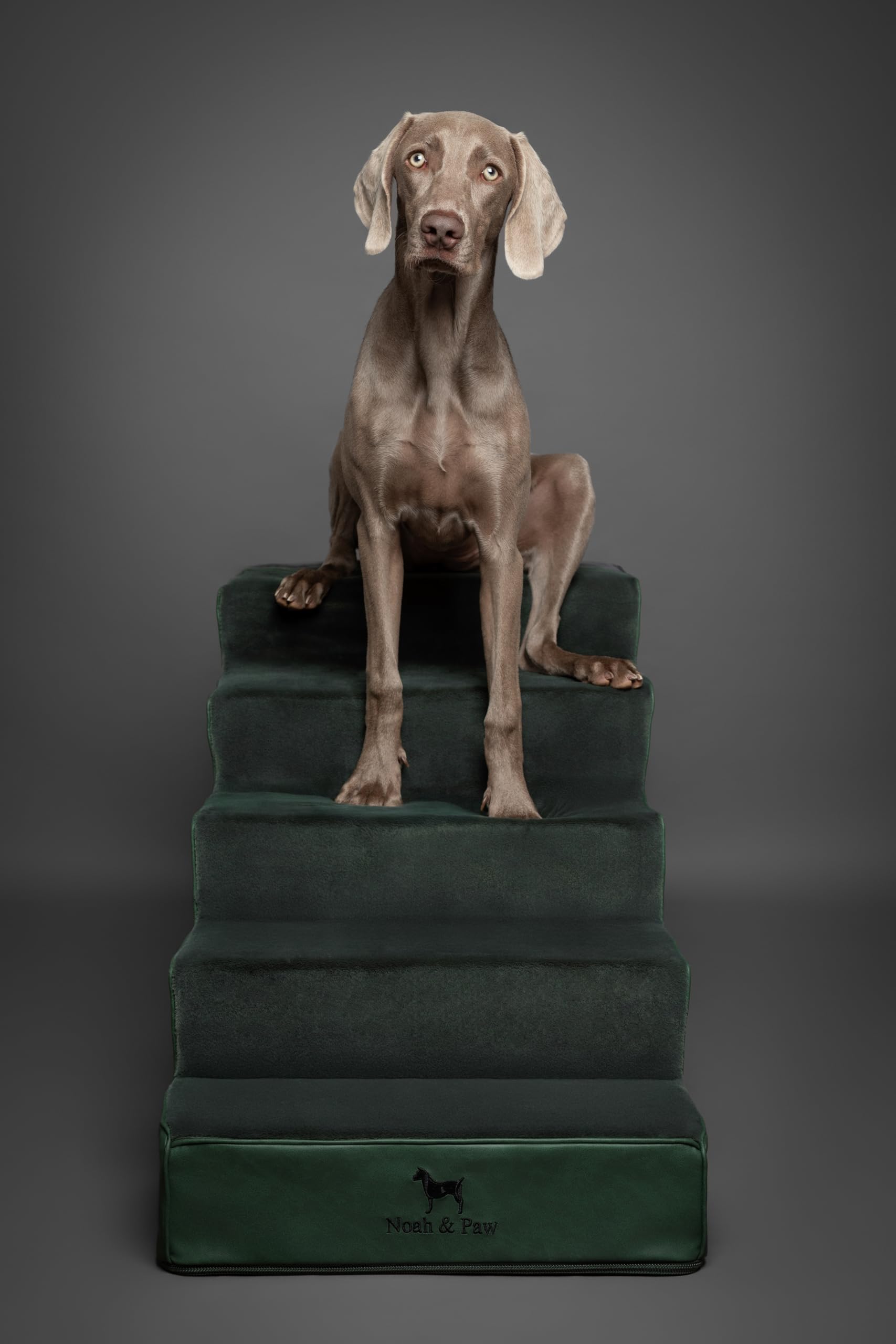 NOAH & PAW dog stairs 20-wide zipper detail emphasizes quick refresh