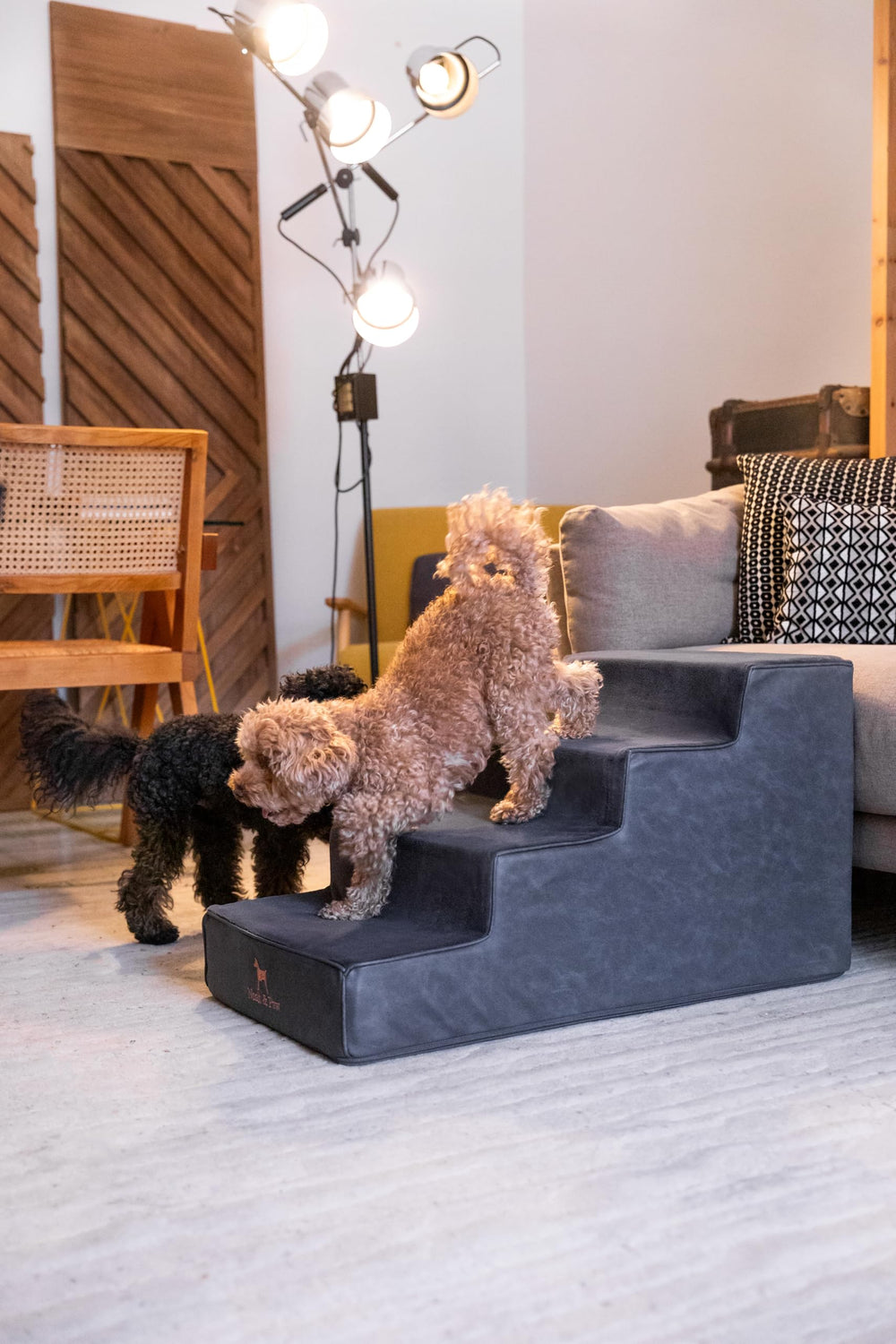 NOAH & PAW dog stairs four-step wide 17 inches for safe bed access.