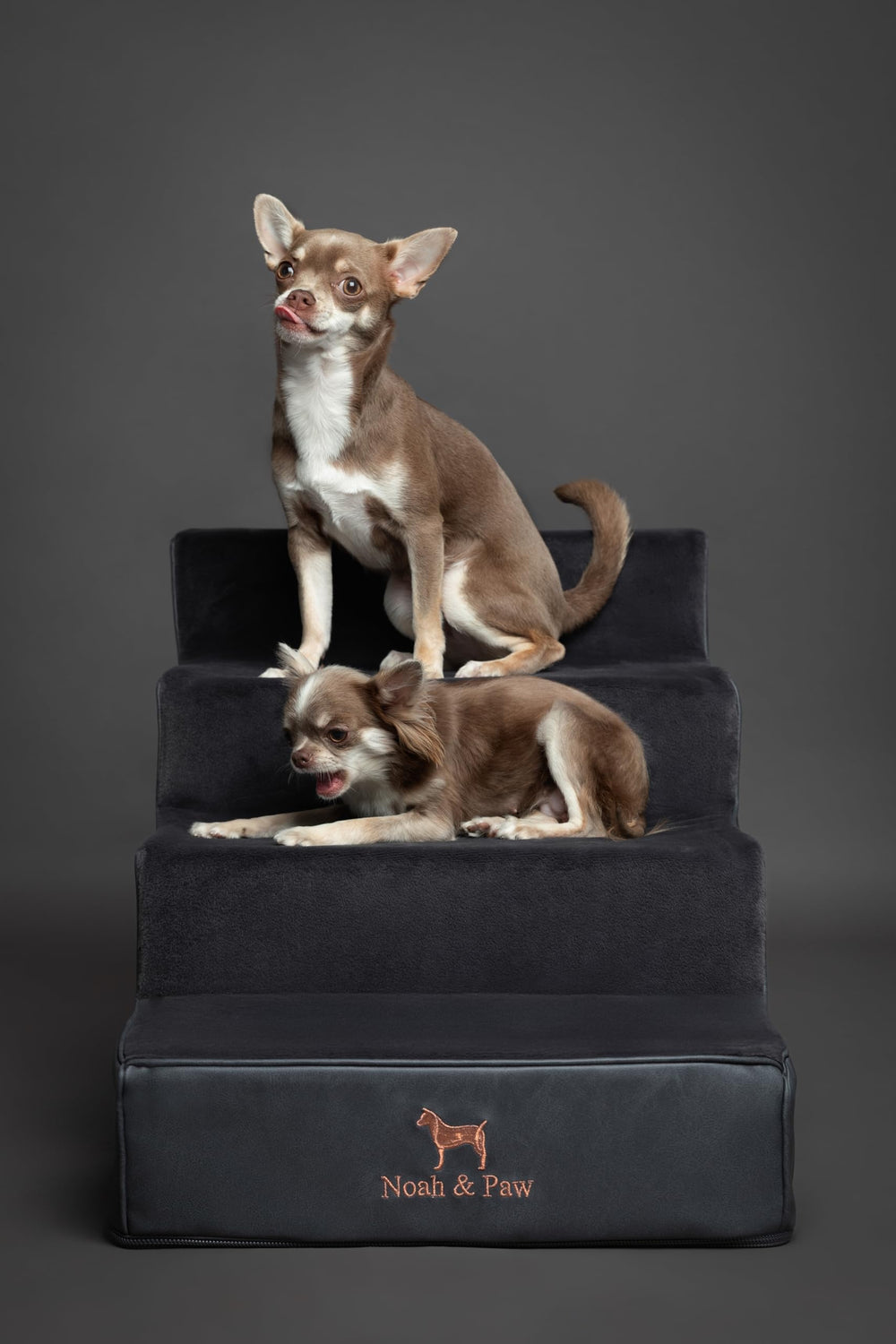 NOAH & PAW 35 foam density core supports durable pet climbs.