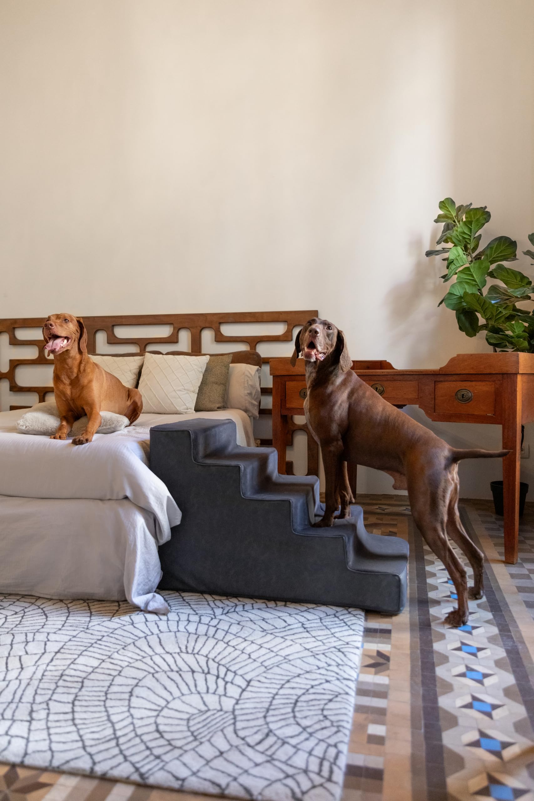 Noah & Paw leather collection steps with vegan leather for chic decor.