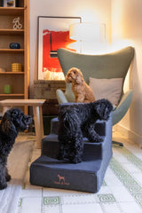 NOAH & PAW one-piece design for quick setup and stability.