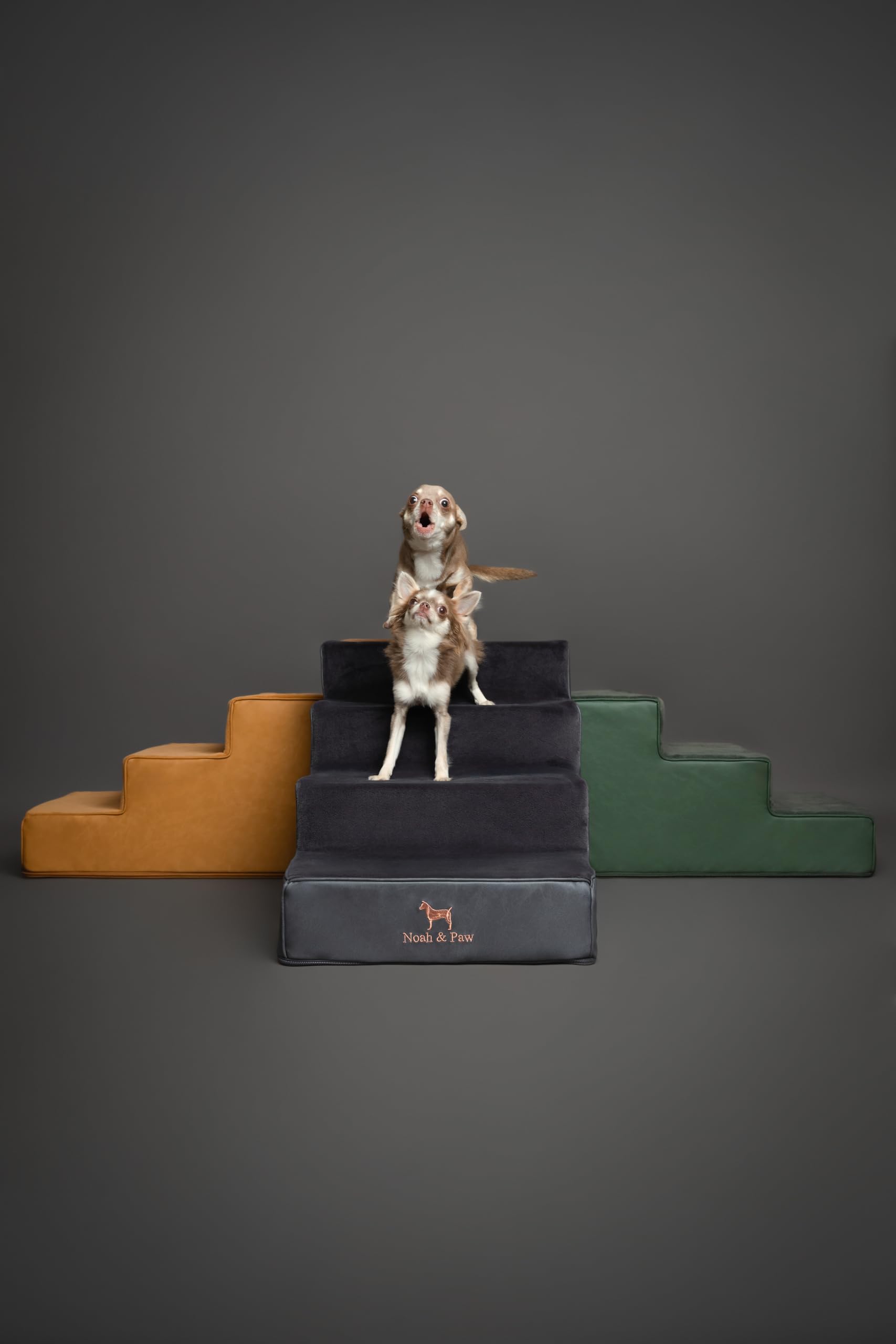 NOAH & PAW plush fabric trim enhances pet comfort.
