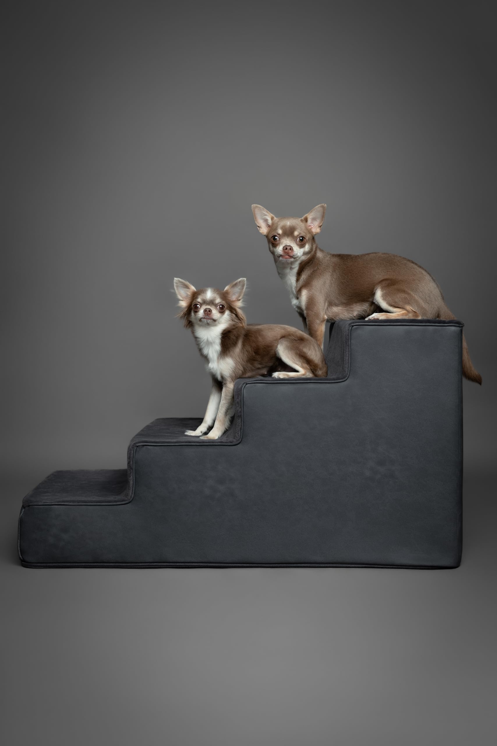 NOAH & PAW vegan leather texture adds contemporary decor style.