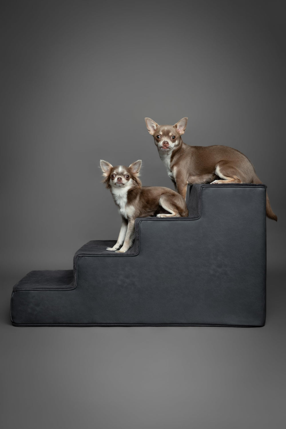 NOAH & PAW vegan leather texture adds contemporary decor style.