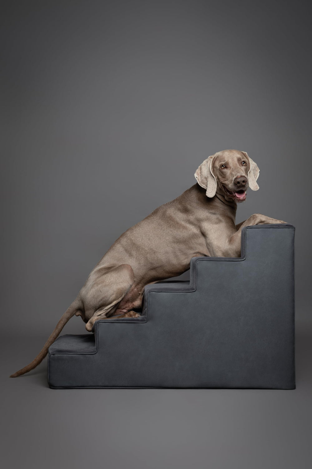 Noah & Paw high-density foam provides stable, durable stepping.