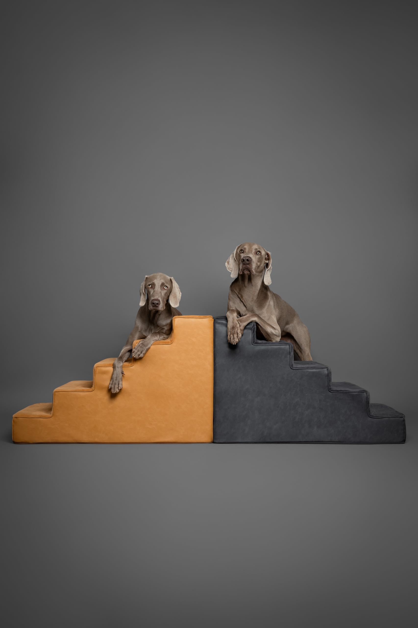 Noah & Paw machine-washable cover keeps stairs fresh.