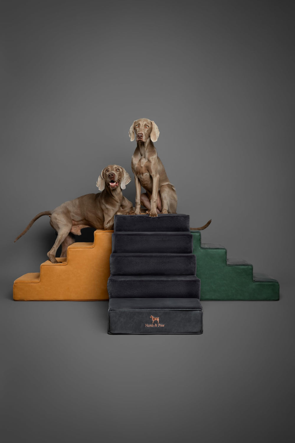 Noah & Paw plush fabric surface enhances pet grip and comfort.