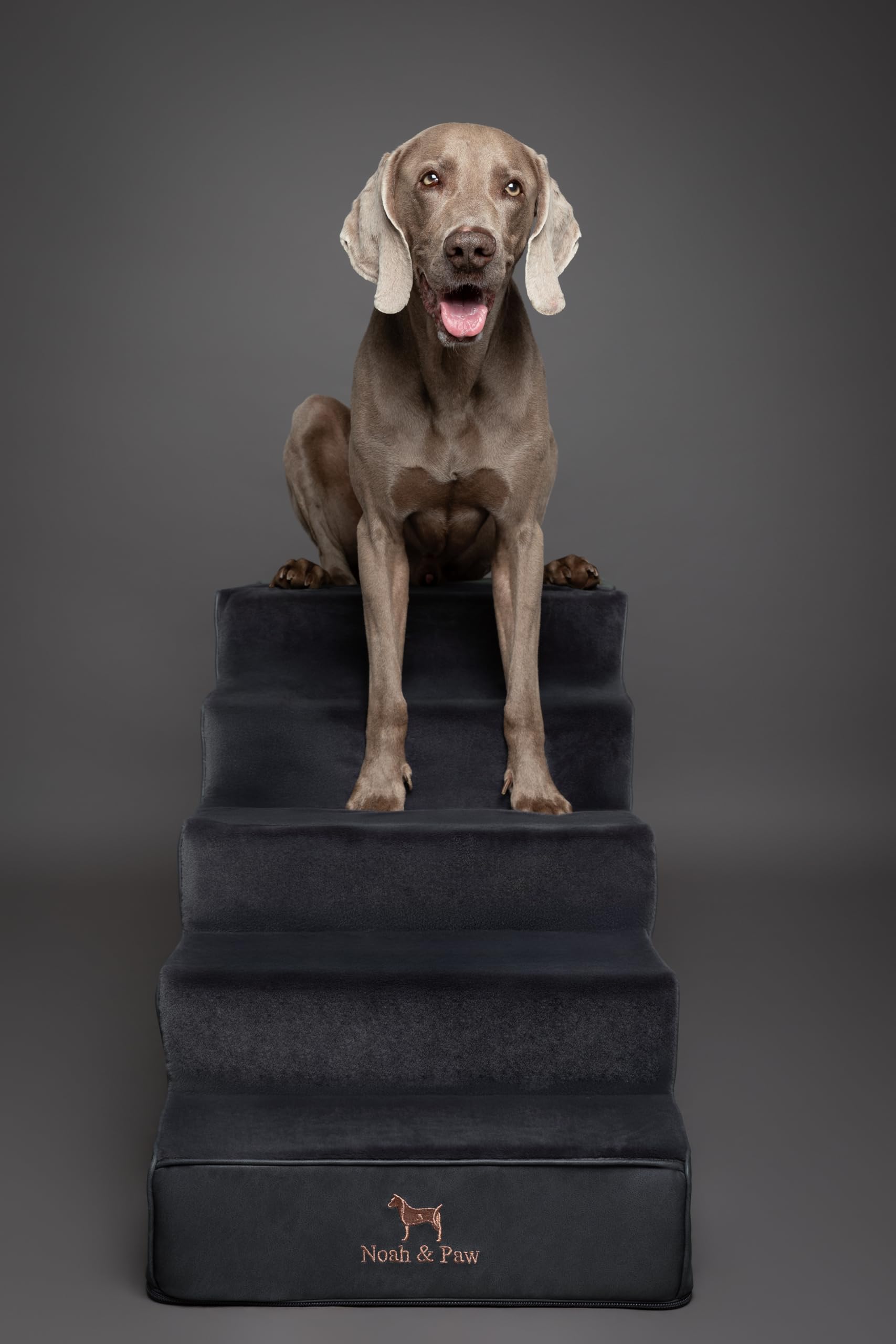 Noah & Paw removable cover with 10 mm zipper for easy cleaning.