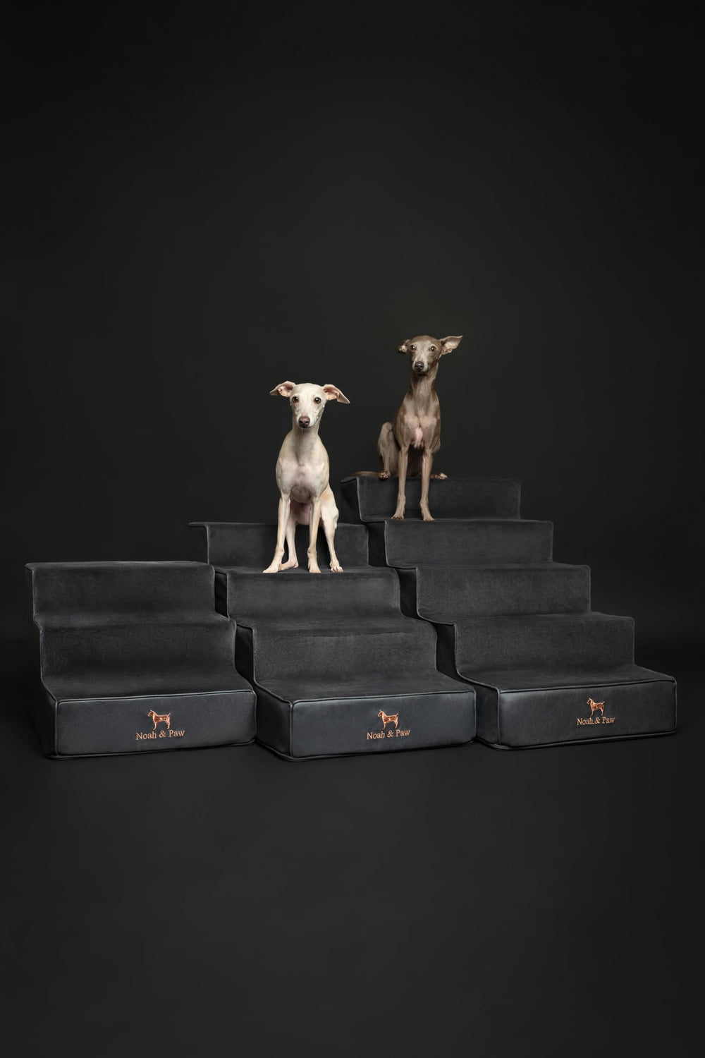Noah & Paw vegan leather finish complements modern living spaces.