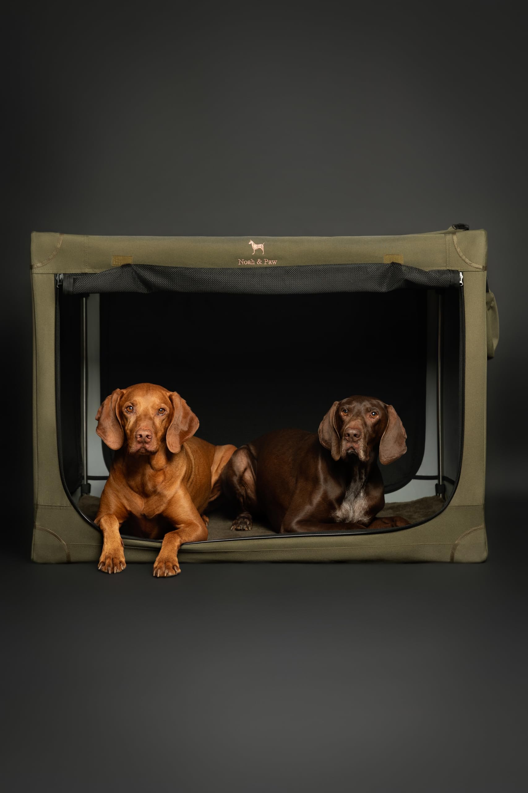Noah & Paw water drinking hole keeps pets hydrated on journeys.