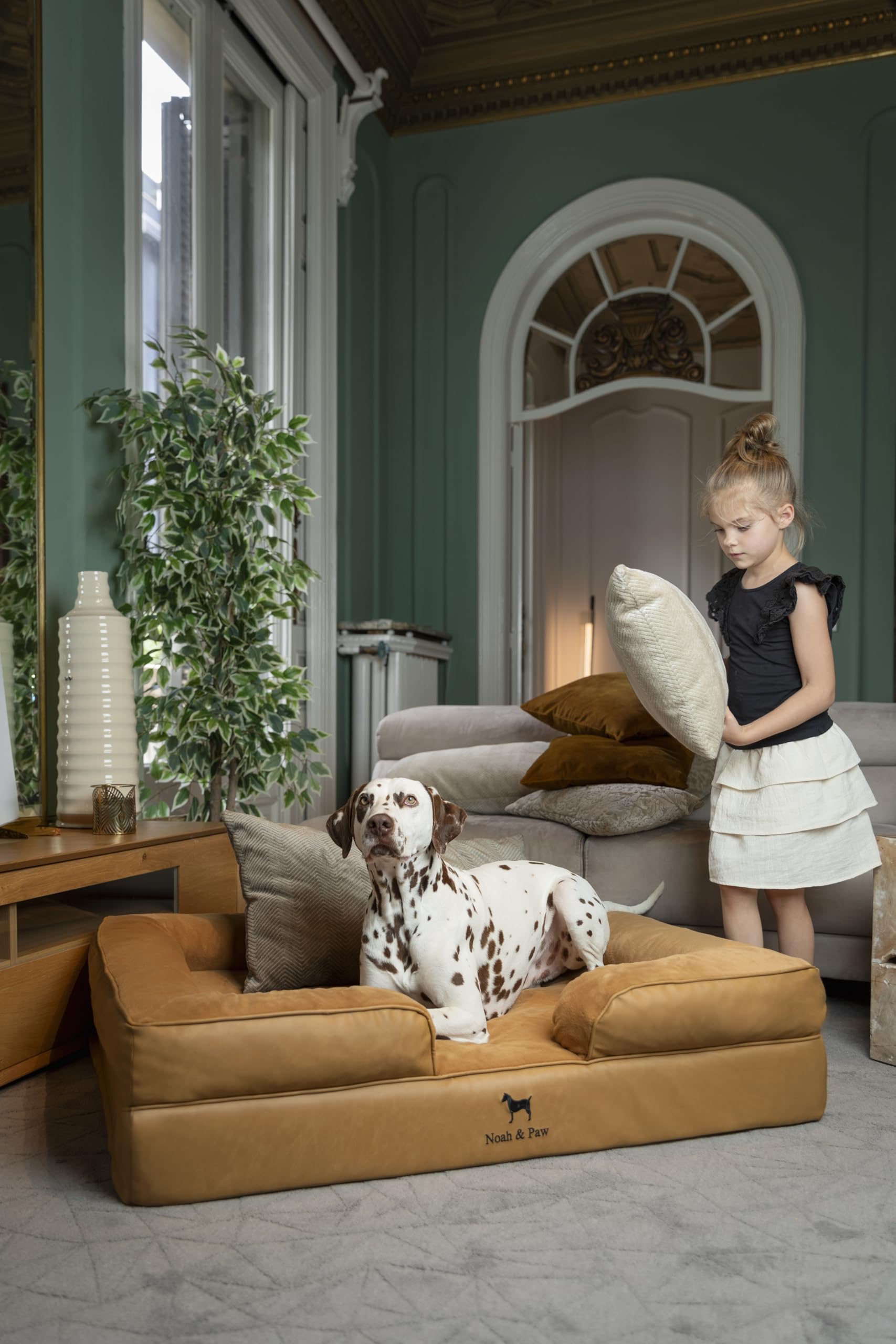 NOAH & PAW XL orthopedic 4 inch base provides stable, supportive foundation.