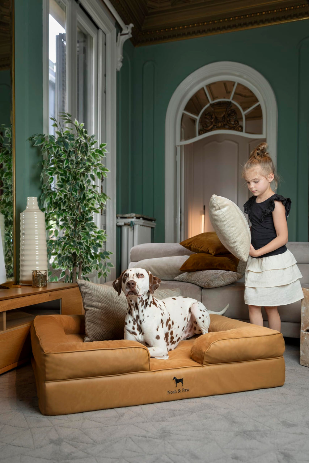 NOAH & PAW XL orthopedic 4 inch base provides stable, supportive foundation.