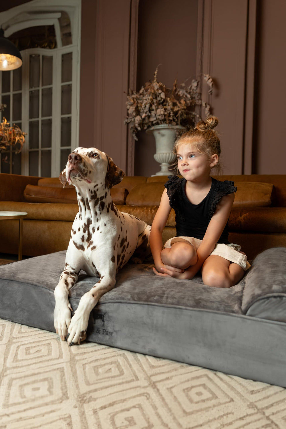 NOAH & PAW XL bed with cooling gel infused memory foam for temperature regulation.