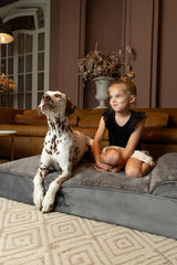 NOAH & PAW XL bed with cooling gel infused memory foam for temperature regulation.