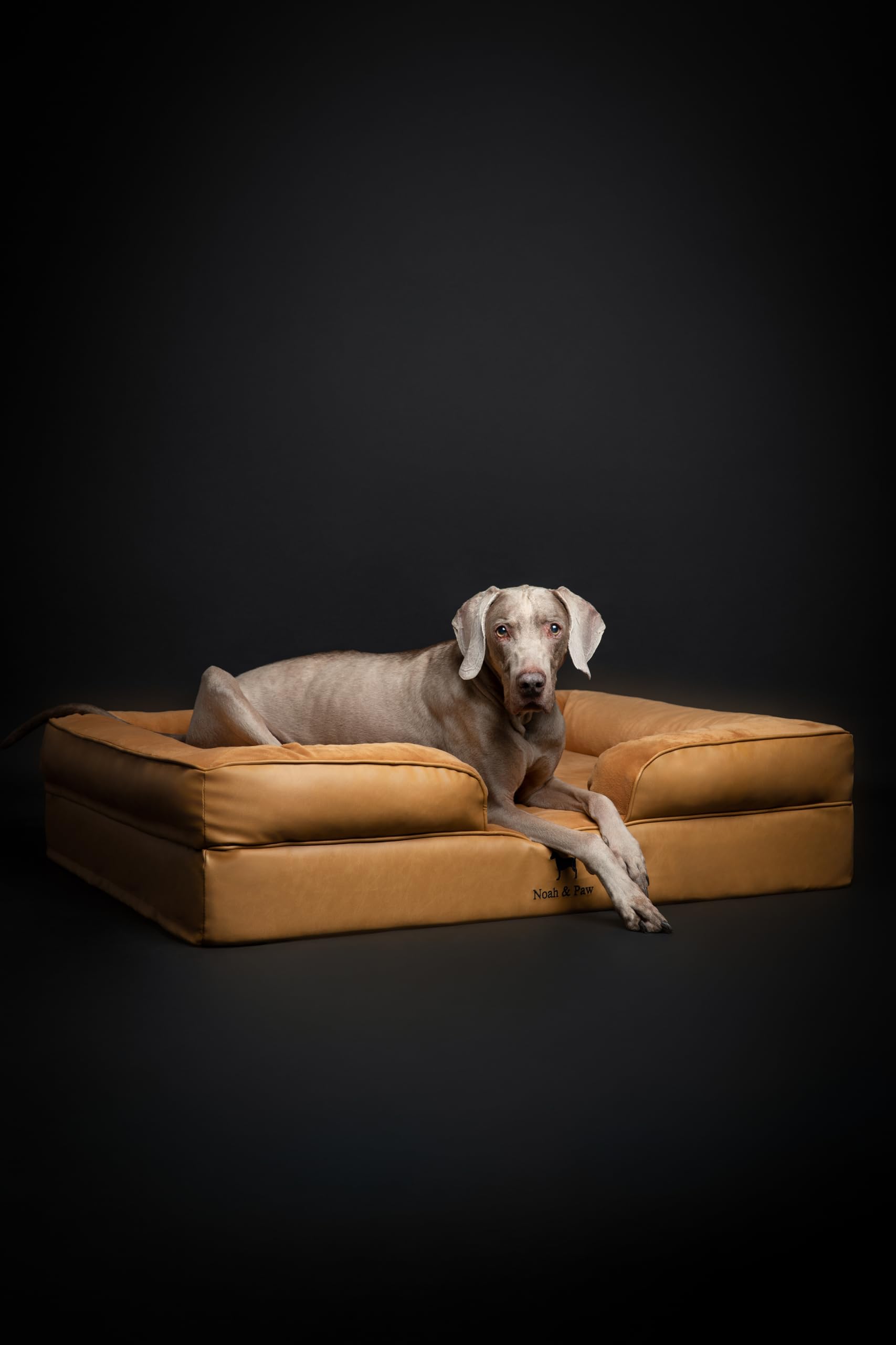 NOAH & PAW XL machine washable covers simplify care.