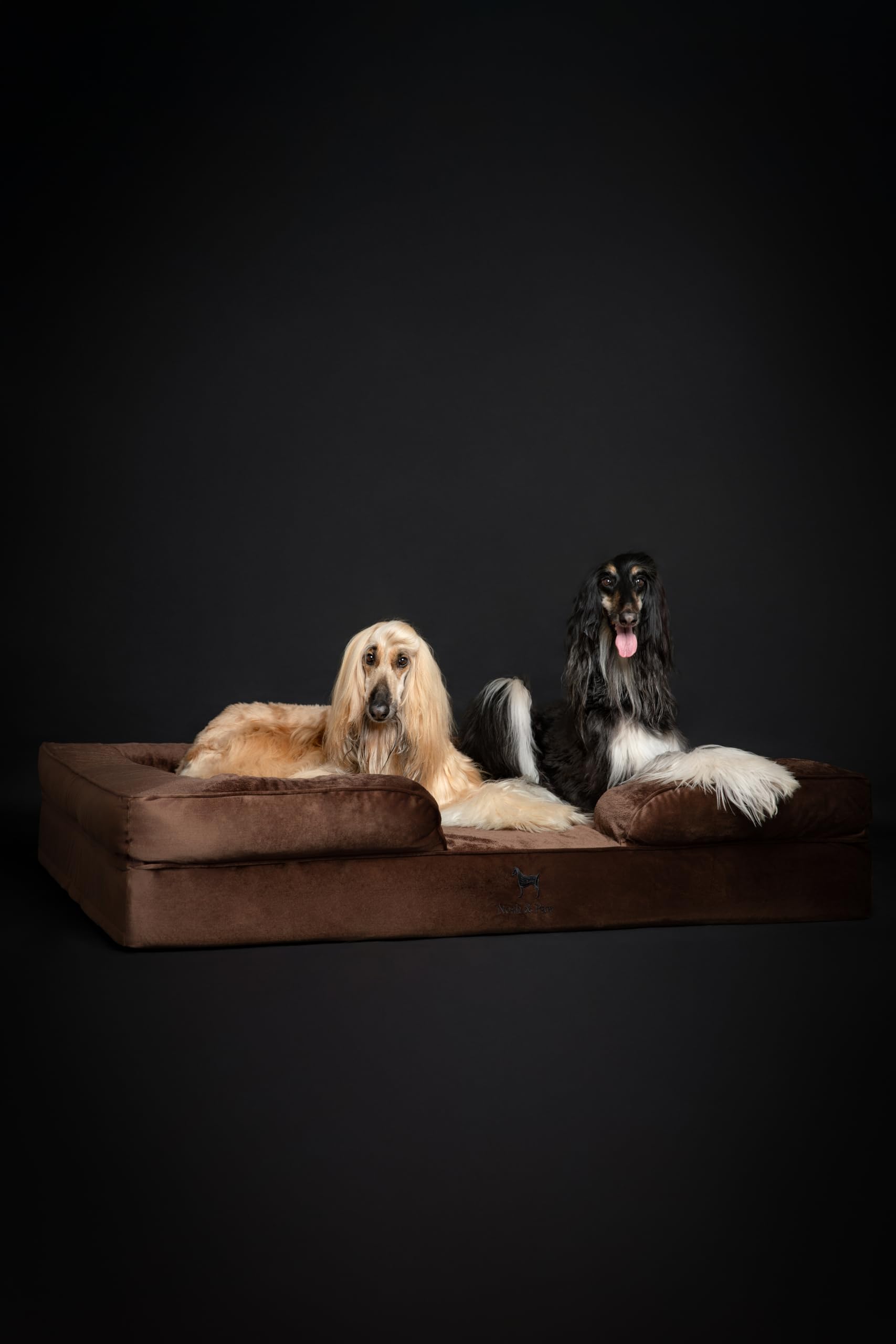 6-inch base and 5-inch bolster provide elevated support.